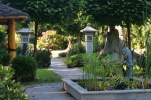 koigarten-in-burg-7-h-mucc88ller