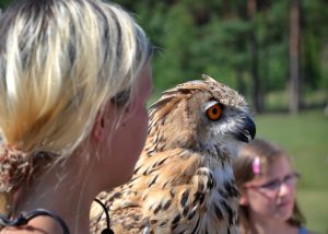 kolja-im-wildpark-johannismuehle-p-fritsch