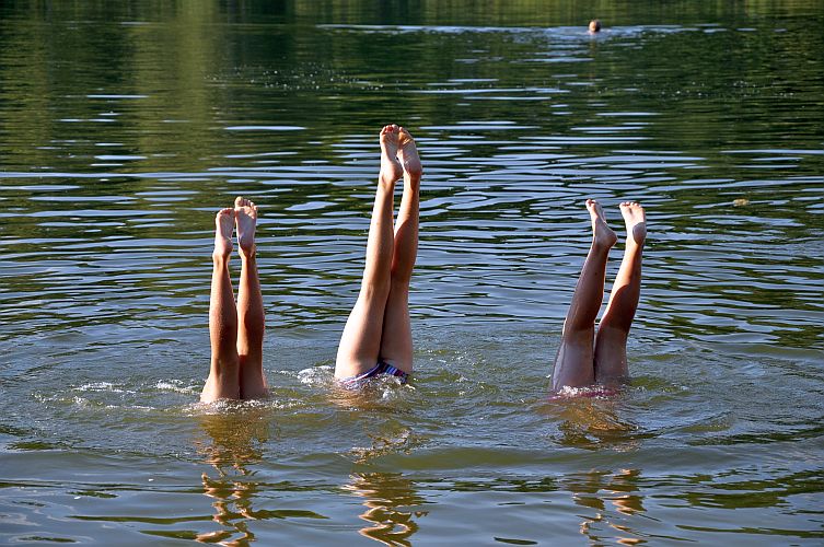 kopfueber-in-der-garkoschke-k-lange