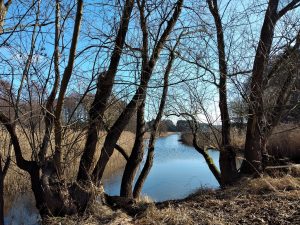 krayner-teiche-1-r-karge_