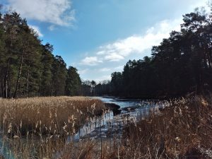 krayner-teiche-2-r-karge_