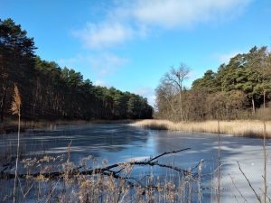 krayner-teiche-3-r-karge_