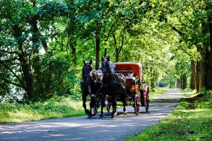 kutschpartie-am-hammergraben-k-f-muehler