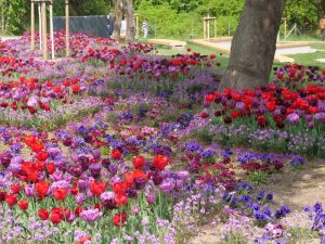 landesgartenschau-in-torgau-2022-3-h-mucc88ller