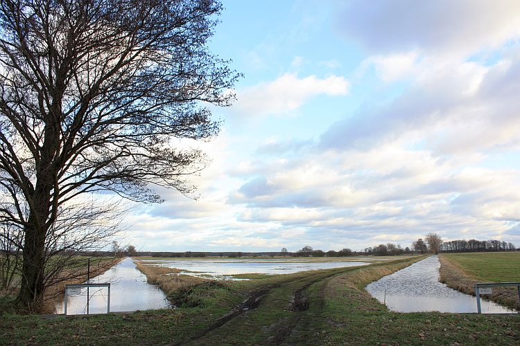 lasszinswiesen-bei-jaenschwalde-bewaesserung-r-karge_