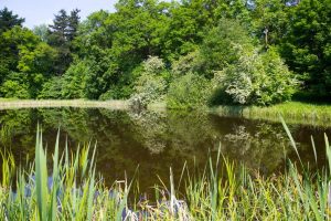 lennepark-in-krumbek-3-b-mc3b6cker