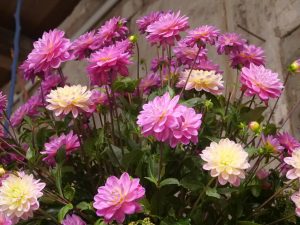 lga-2019-in-wittstock-13-h-mucc88ller