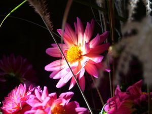 lga-2019-in-wittstock-15-h