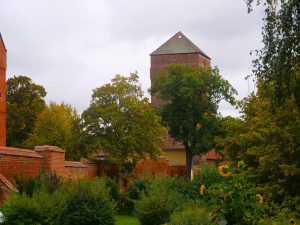 lga-2019-in-wittstock-16-h