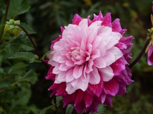 lga-2019-in-wittstock-4-h-mucc88ller