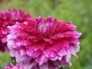 lga-2019-in-wittstock-6-h-mucc88ller