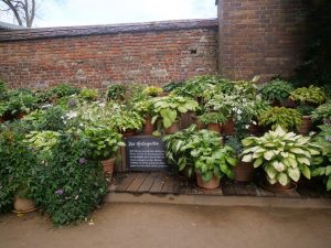 lga-2019-in-wittstock-9-h-mucc88ller