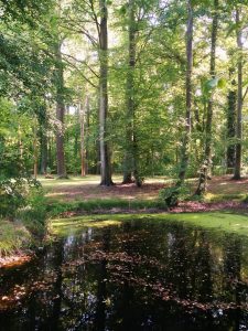 lieberose-parkimpressinen-2-h-mucc88ller