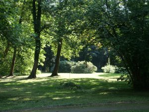 lieberose-parkimpressinen-3-h-mucc88ller