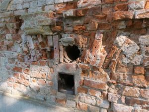 lieberose-parkimpressinen-5-h-mucc88ller