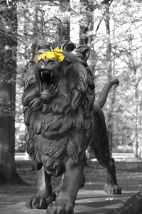 locc88we-in-branitz-h-mucc88ller