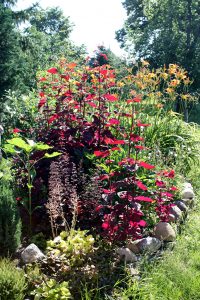 magenta-gartenecke-r-karge_