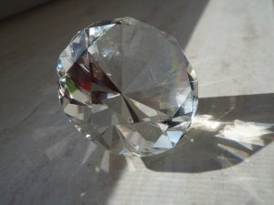 Makro 1 - Bernd Opel