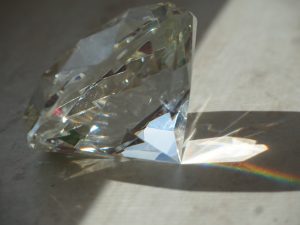 Makro 3 - Bernd Opel