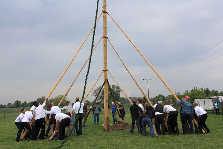 maubaumaufstellen-in-jaenschwalde-geschafft-r-karge