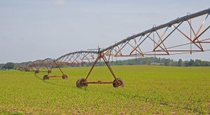 mecklenburger-fc3b6rderbrc3bccke-b-mc3b6cker