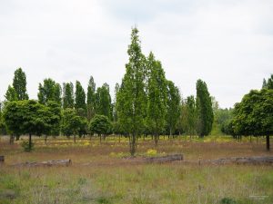 milleniumpark-teichland-bernd-opel
