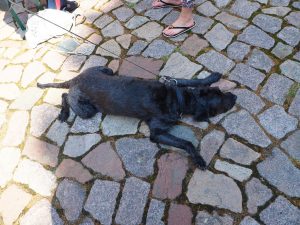 mittagsruhe-bernd-opel