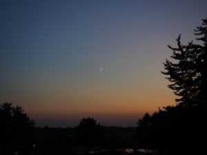 Modlicht - Bernd Opel