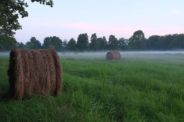 morgendaemmerung-bei-maust-n-kubicke