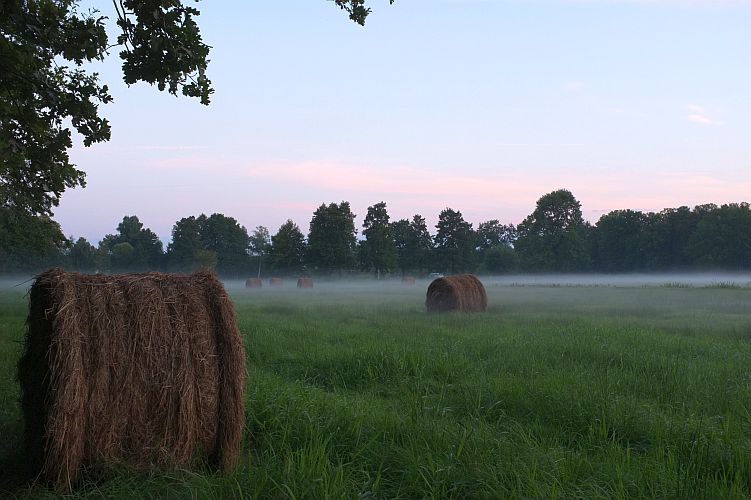 morgendaemmerung-n-kubicke