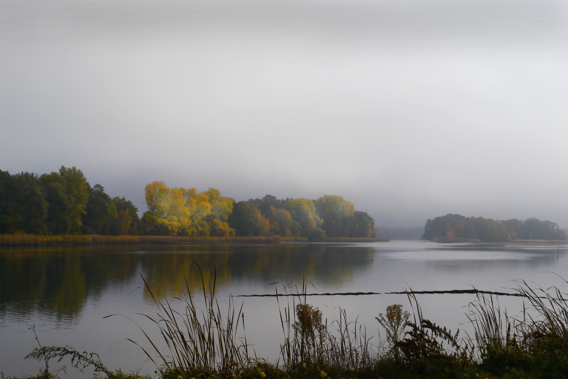 morgennebel-am-haelterteich-h-mueller