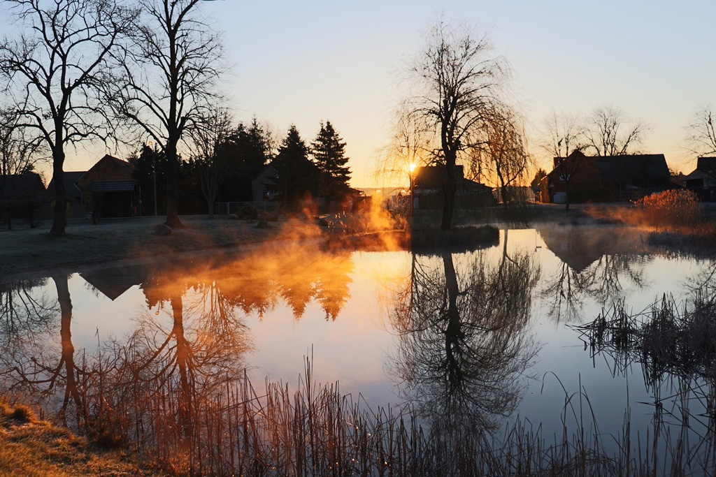 morgens-am-dorfteich-jacc88nschwalde-r-karge_