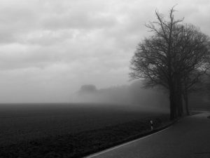 nebellandschaft-2-h-mucc88ller_