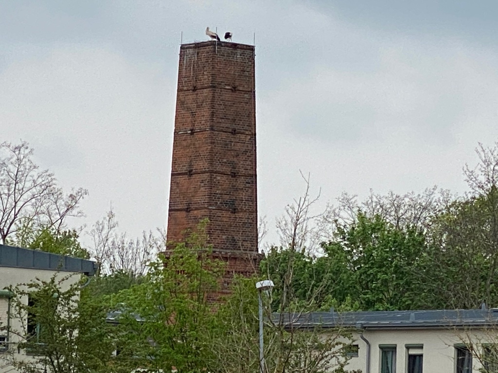 neue-bewohner-am-altenpflegeheim-bernd-opel