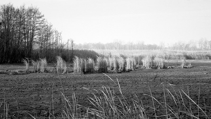 neuendorfer-teich-im-dezember-2-k-f-muehler