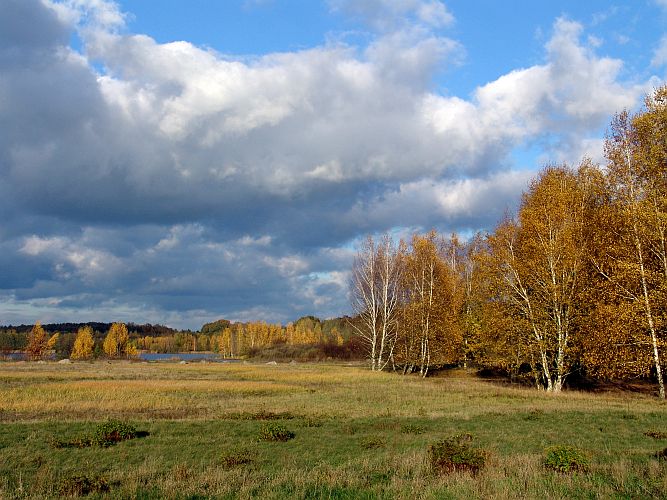 novemberstimmung-am-mauster-kiessee-k-f-muehler