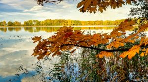 oktoberstimmung-im-teichland-k-f-muehler
