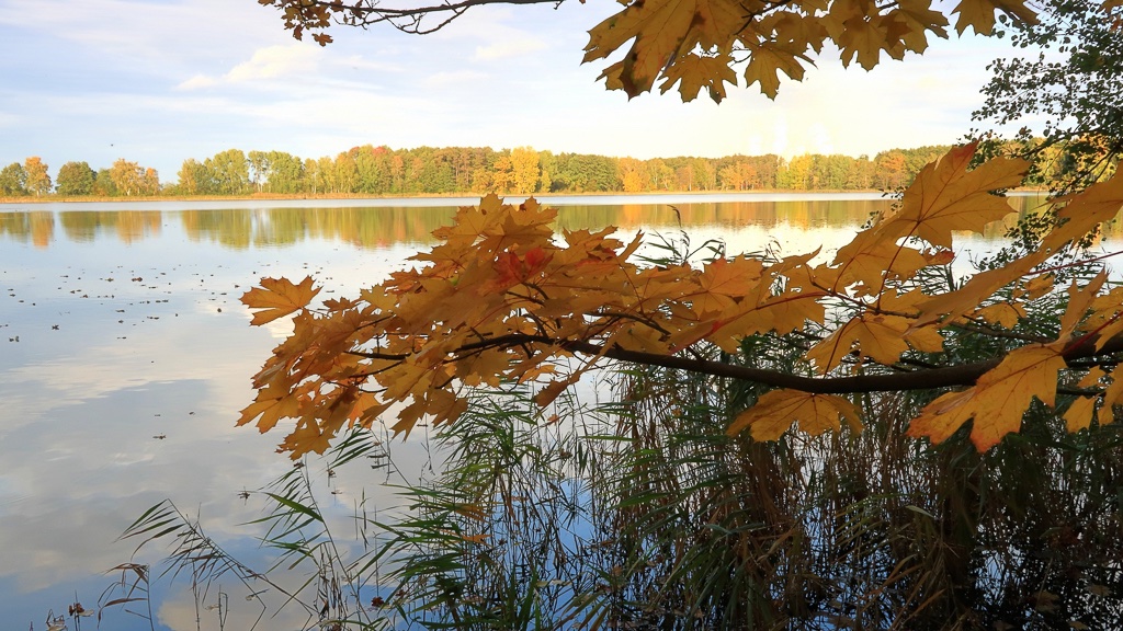 oktoberstimmung-im-teichland-k-f-muehler-kopie