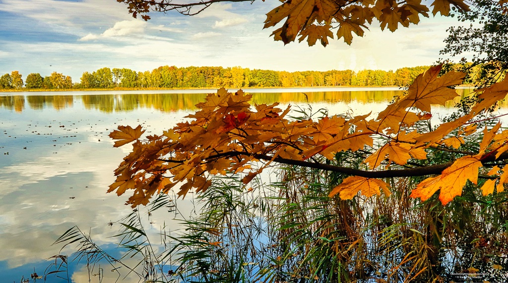 oktoberstimmung-im-teichland-k-f-muehler
