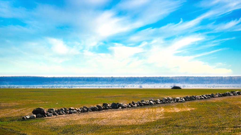 ostsee-im-werden-spur-der-steine-k-f-muehler-kopie