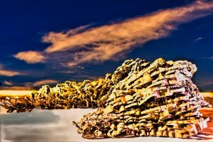 papierlindwurm-1-k-f-muehler