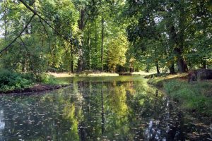 park-in-branitz-11-h-mucc88ller