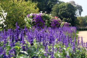 park-in-branitz-16-h-mucc88ller