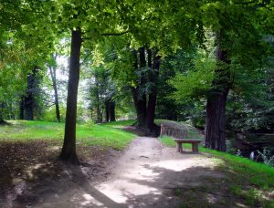 park-in-branitz-4-h-mucc88ller