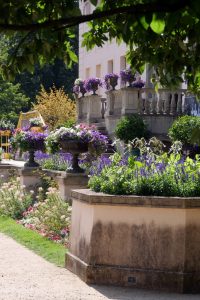 park-in-branitz-5-h-mucc88ller