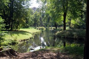 park-in-branitz-9-h-mucc88ller