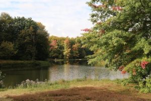 parkansicht-b-mocc88cker