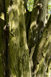 parkdetail-5-b-mocc88cker