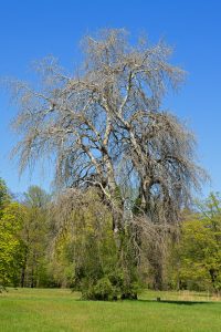 parkdetail-7-b-mocc88cker