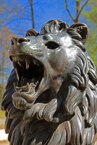 parkdetail-8-b-mocc88cker